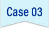 Case03