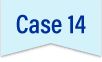 Case14